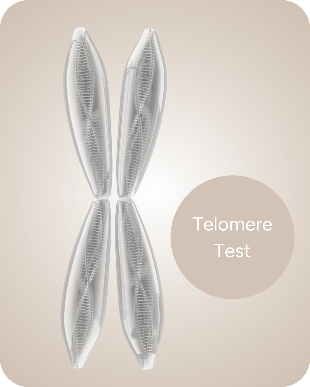 Telomere-Test